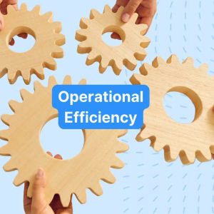 Operational Efficiency Improvement Framework